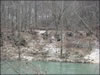 My Gallery: Image